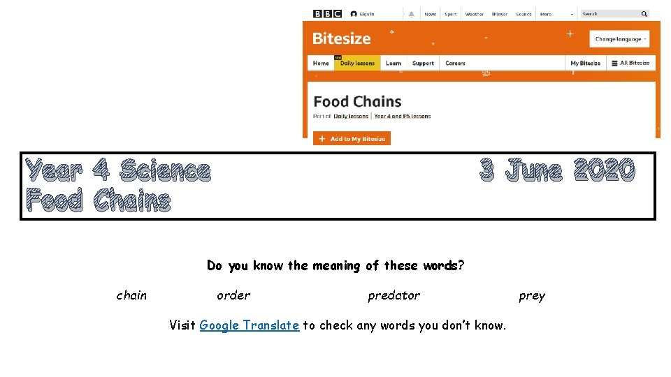 Year 4 Science Food Chains 3 June 2020 Do you know the meaning of Year 4 Science Food Chains 3 June 2020 Do you know the meaning of
