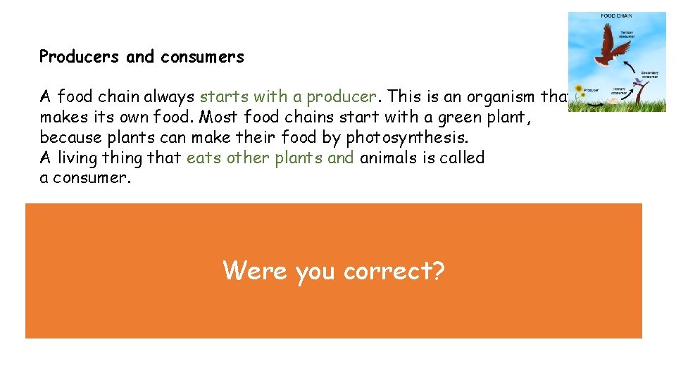 Producers and consumers A food chain always starts with a producer. This is an Producers and consumers A food chain always starts with a producer. This is an