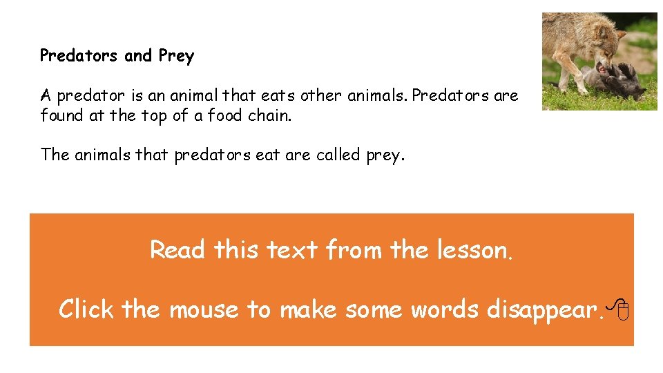 Predators and Prey A predator is an animal that eats other animals. Predators are Predators and Prey A predator is an animal that eats other animals. Predators are