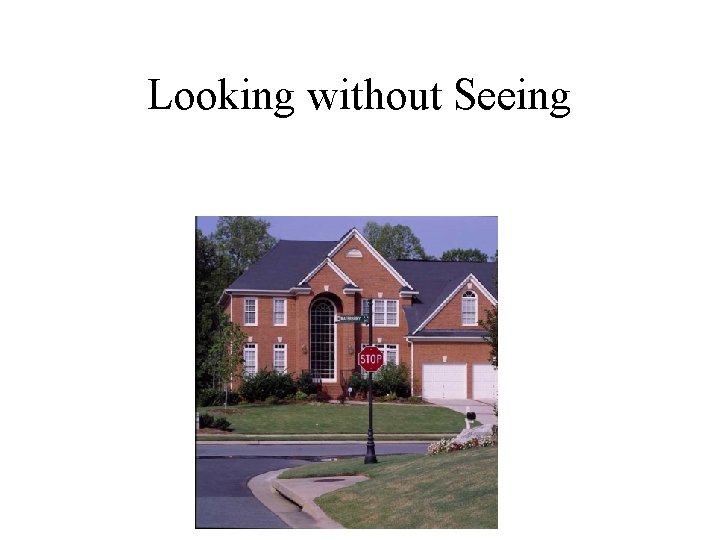 Looking without Seeing 
