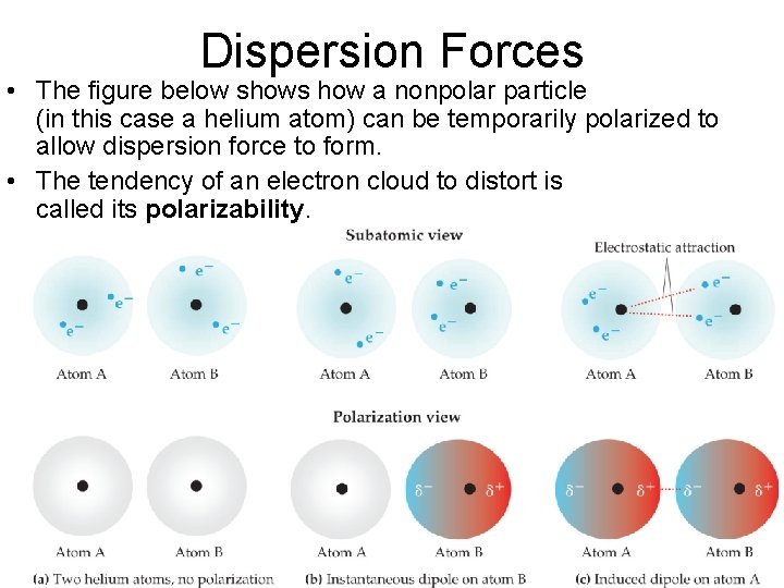 Dispersion Forces • The figure below shows how a nonpolar particle (in this case