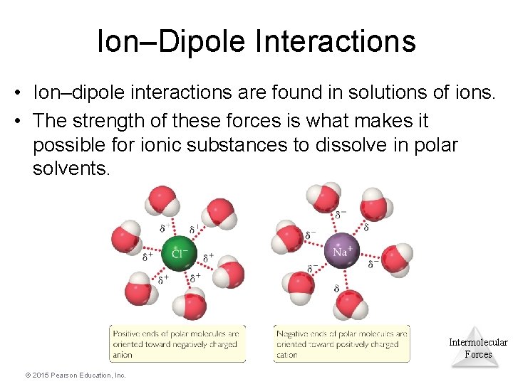 Ion–Dipole Interactions • Ion–dipole interactions are found in solutions of ions. • The strength