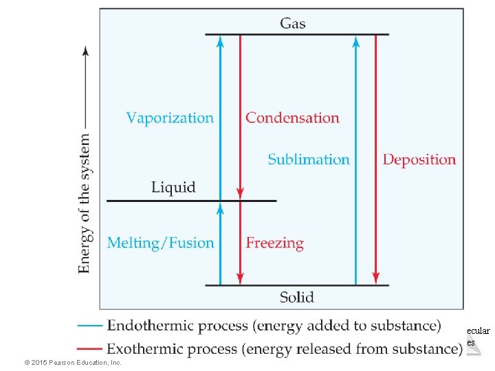 Intermolecular Forces © 2015 Pearson Education, Inc. 