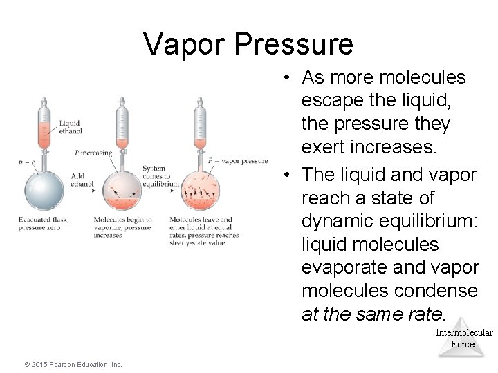 Vapor Pressure • As more molecules escape the liquid, the pressure they exert increases.