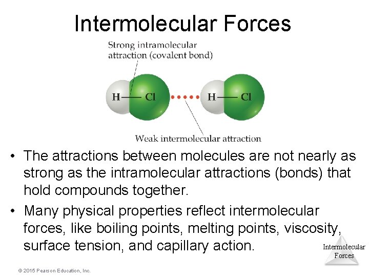 Intermolecular Forces • The attractions between molecules are not nearly as strong as the