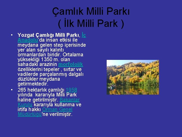 Çamlık Milli Parkı ( İlk Milli Park ) • Yozgat Çamlığı Millî Parkı, İç