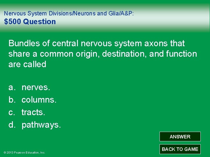 Nervous System Divisions/Neurons and Glia/A&P: $500 Question Bundles of central nervous system axons that