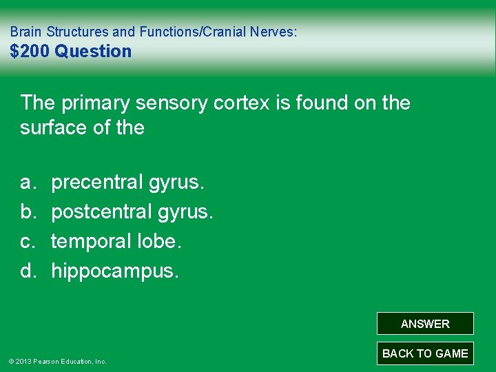 Brain Structures and Functions/Cranial Nerves: $200 Question The primary sensory cortex is found on