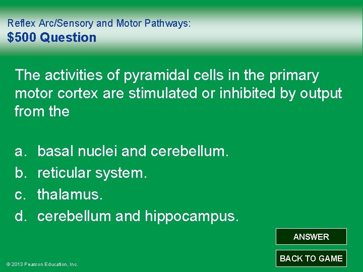 Reflex Arc/Sensory and Motor Pathways: $500 Question The activities of pyramidal cells in the