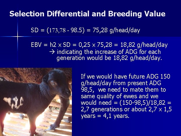 Selection Differential and Breeding Value SD = (173, 78 - 98. 5) = 75,