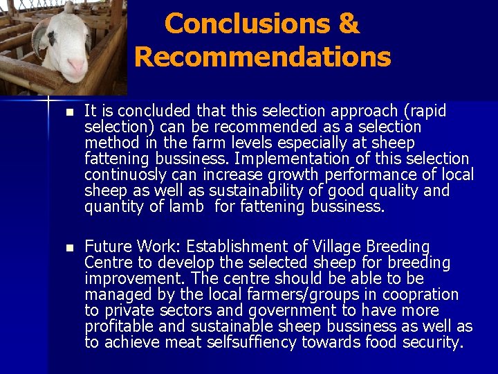 Conclusions & Recommendations n It is concluded that this selection approach (rapid selection) can