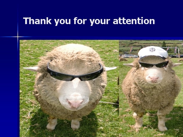 Thank you for your attention 