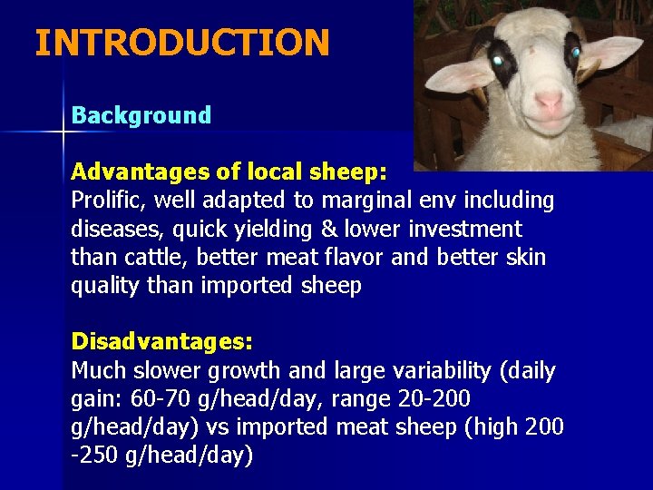 INTRODUCTION Background Advantages of local sheep: Prolific, well adapted to marginal env including diseases,