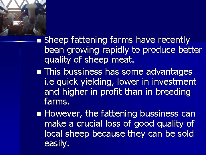 n Sheep fattening farms have recently been growing rapidly to produce better quality of