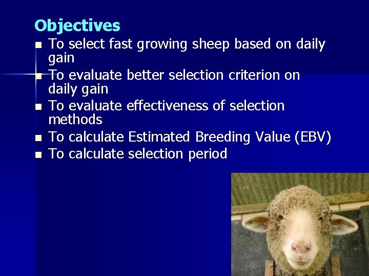 Objectives n n n To select fast growing sheep based on daily gain To