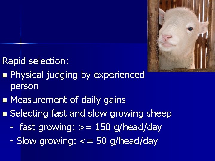 Rapid selection: n Physical judging by experienced person n Measurement of daily gains n