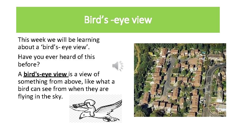 Bird’s -eye view This week we will be learning about a ‘bird’s- eye view’.