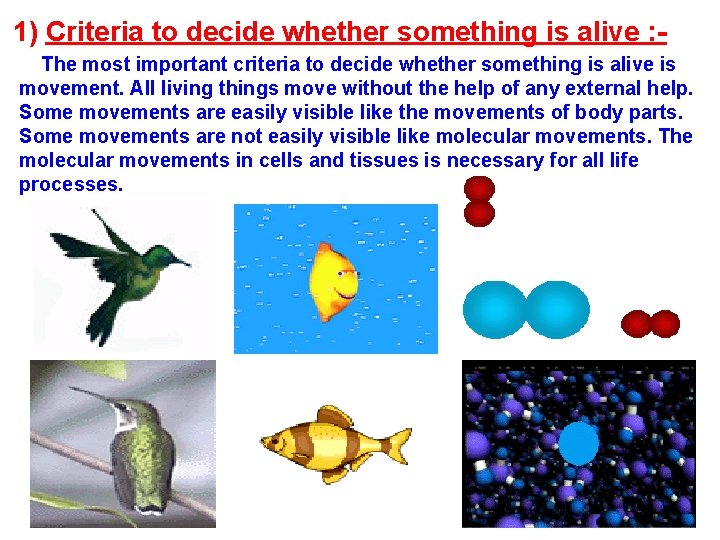 1) Criteria to decide whether something is alive : The most important criteria to