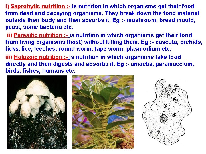 i) Saprohytic nutrition : - is nutrition in which organisms get their food from