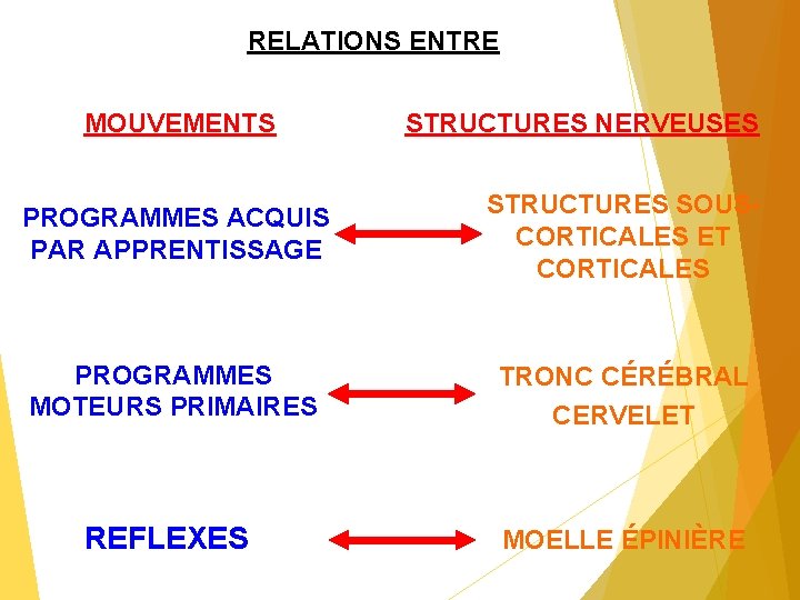 RELATIONS ENTRE MOUVEMENTS STRUCTURES NERVEUSES PROGRAMMES ACQUIS PAR APPRENTISSAGE STRUCTURES SOUSCORTICALES ET CORTICALES PROGRAMMES