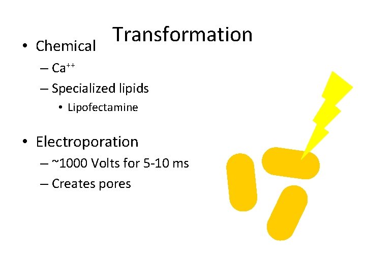  • Chemical Transformation – Ca++ – Specialized lipids • Lipofectamine • Electroporation –