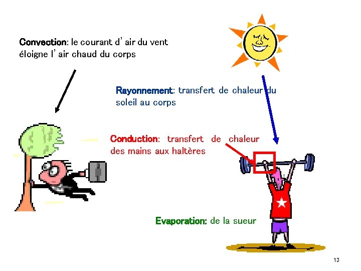 Convection: le courant d’air du vent éloigne l’air chaud du corps Rayonnement: transfert de