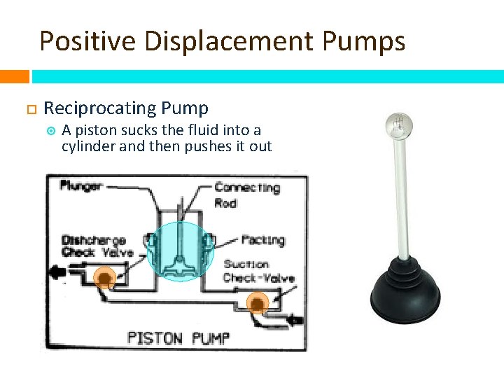 Positive Displacement Pumps Reciprocating Pump A piston sucks the fluid into a cylinder and