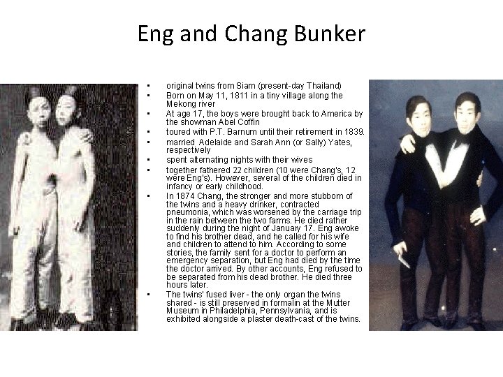 Eng and Chang Bunker • • • original twins from Siam (present-day Thailand) Born