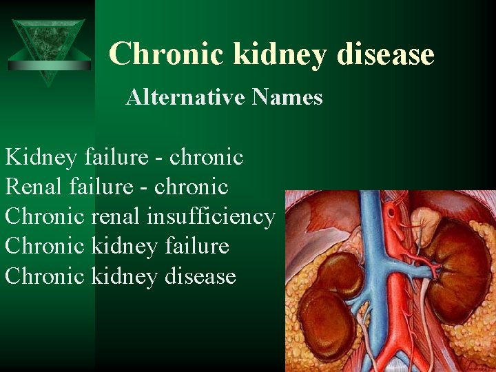 Chronic kidney disease Alternative Names Kidney failure - chronic Renal failure - chronic Chronic