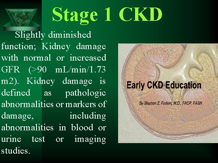 Stage 1 CKD Slightly diminished function; Kidney damage with normal or increased GFR (>90