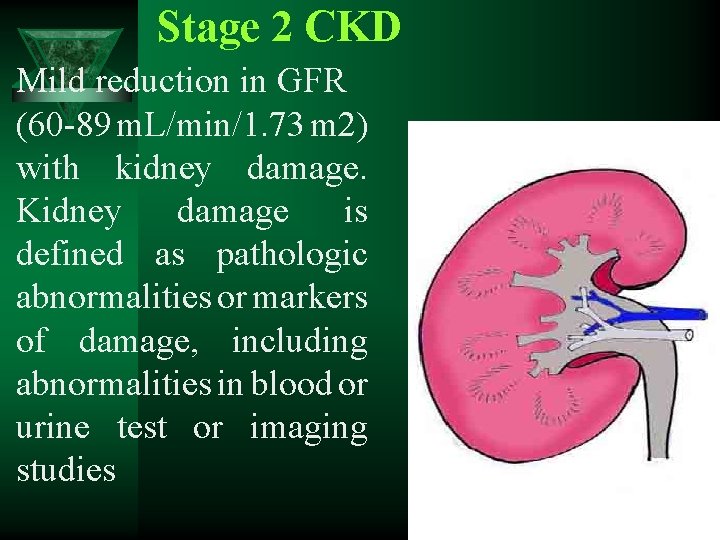 Stage 2 CKD Mild reduction in GFR (60 -89 m. L/min/1. 73 m 2)