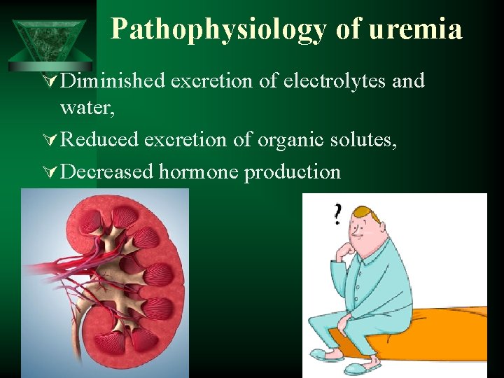 Pathophysiology of uremia Ú Diminished excretion of electrolytes and water, Ú Reduced excretion of