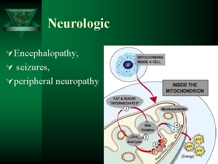 Neurologic Ú Encephalopathy, Ú seizures, Ú peripheral neuropathy 