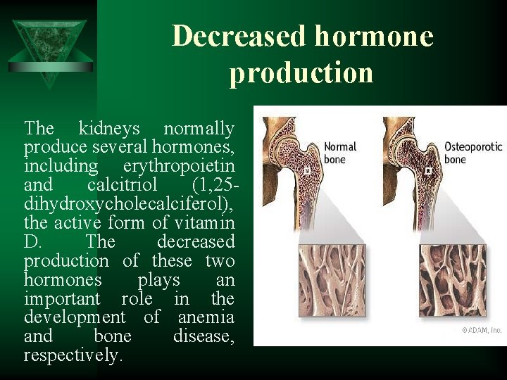 Decreased hormone production The kidneys normally produce several hormones, including erythropoietin and calcitriol (1,