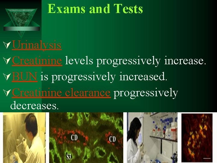 Exams and Tests ÚUrinalysis ÚCreatinine levels progressively increase. ÚBUN is progressively increased. ÚCreatinine clearance