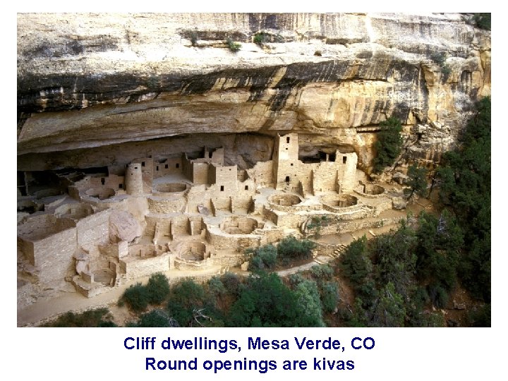 Cliff dwellings, Mesa Verde, CO Round openings are kivas 