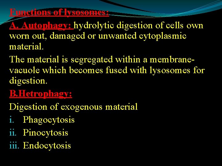 Functions of lysosomes: A. Autophagy: hydrolytic digestion of cells own worn out, damaged or