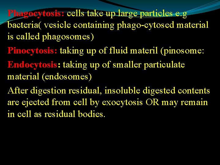 Phagocytosis: cells take up large particles e. g bacteria( vesicle containing phago-cytosed material is