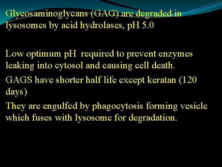 Glycosaminoglycans (GAG) are degraded in lysosomes by acid hydrolases, p. H 5. 0 Low