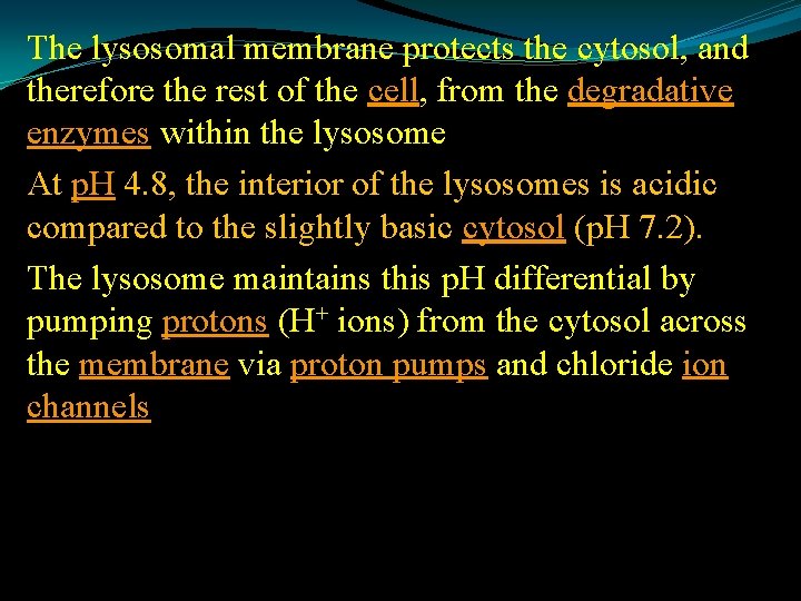 The lysosomal membrane protects the cytosol, and therefore the rest of the cell, from