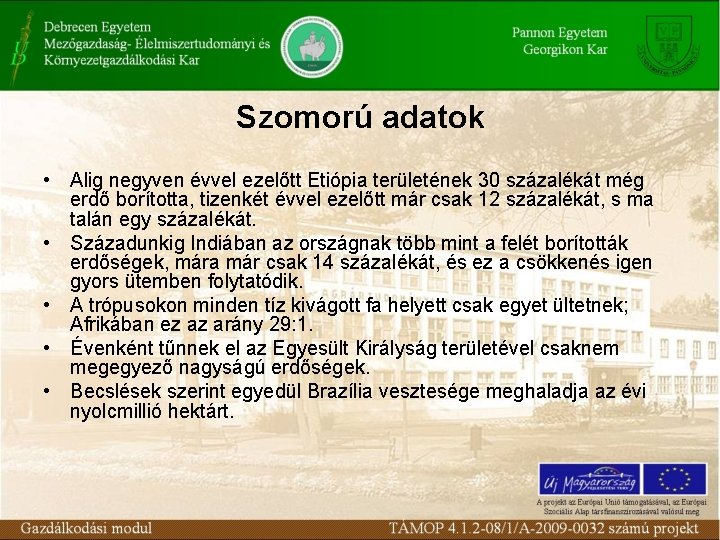 Szomorú adatok • Alig negyven évvel ezelőtt Etiópia területének 30 százalékát még erdő borította,