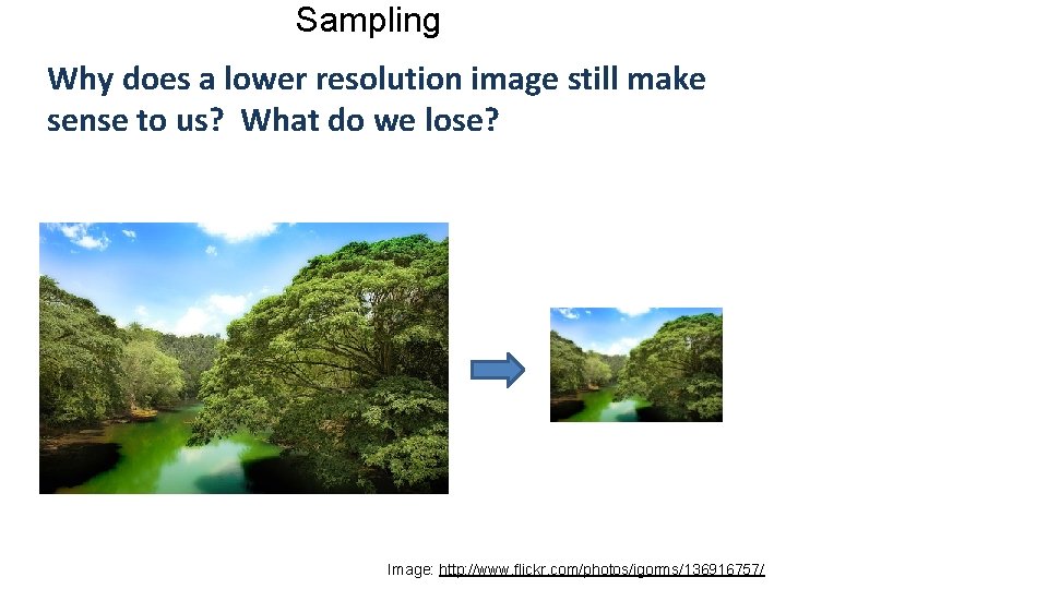Sampling Why does a lower resolution image still make sense to us? What do Sampling Why does a lower resolution image still make sense to us? What do
