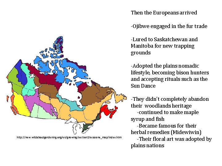 Then the Europeans arrived -Ojibwe engaged in the fur trade -Lured to Saskatchewan and