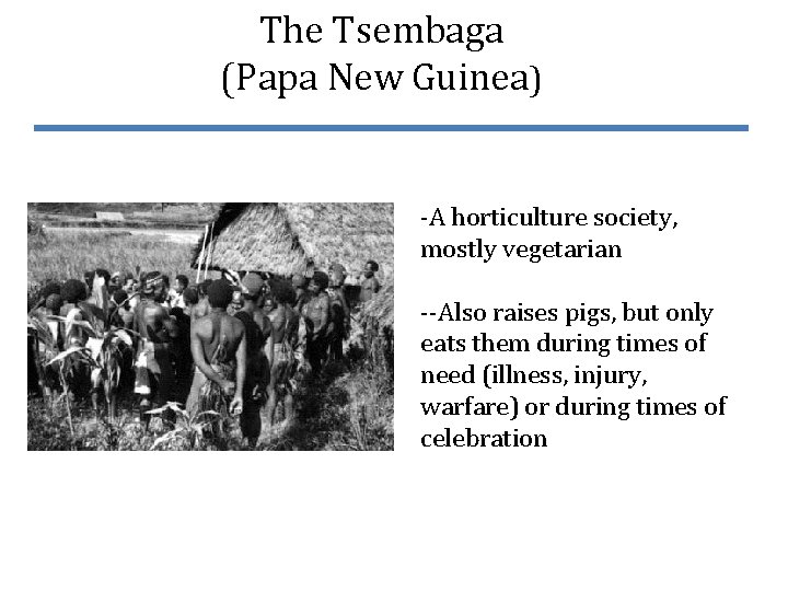 The Tsembaga (Papa New Guinea) -A horticulture society, mostly vegetarian --Also raises pigs, but