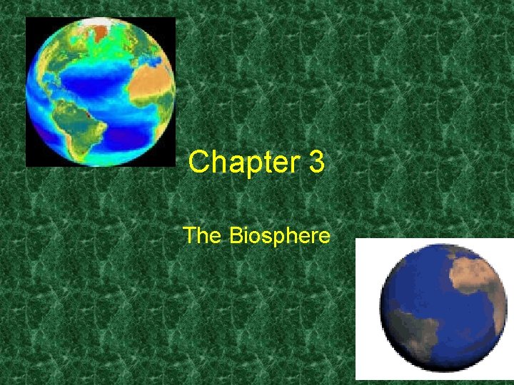 Chapter 3 The Biosphere 