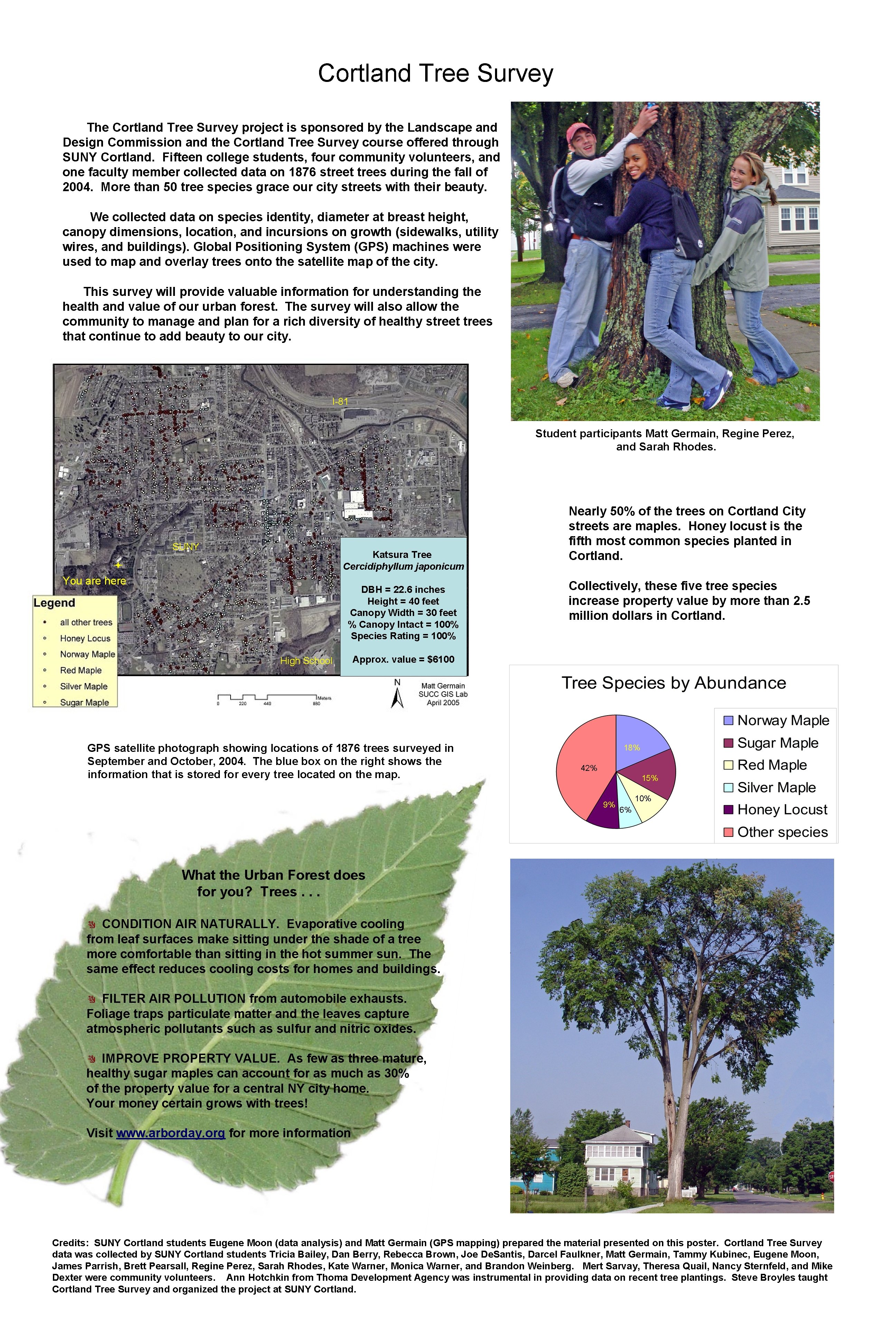 Cortland Tree Survey The Cortland Tree Survey project is sponsored by the Landscape and