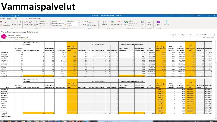 Vammaispalvelut www. siunsote. fi 