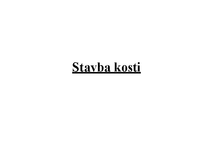 Stavba kosti 