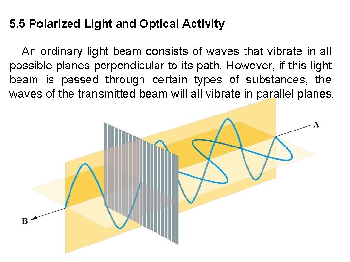 5. 5 Polarized Light and Optical Activity An ordinary light beam consists of waves