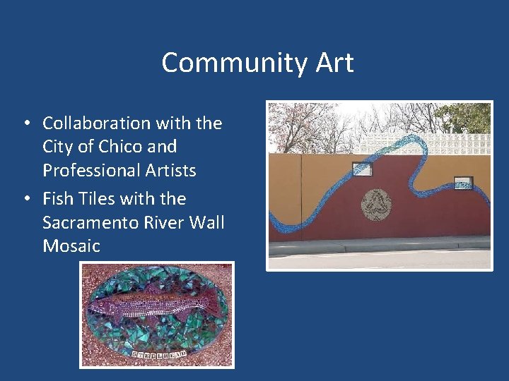 Community Art • Collaboration with the City of Chico and Professional Artists • Fish